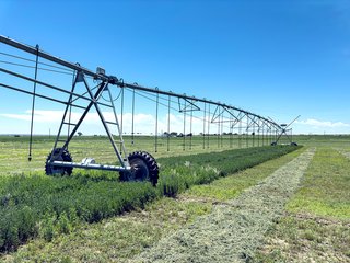 Property photo 61 - QUALITY IRRIGATED & ORGANIC COLORADO LAND AUCTION - 6,673+/- ACRES IN BENT & PROWERS COUNTIES, COLORADO. OWNERS WILL ENTERTAIN NON-CONTINGENT OFFERS ON THE PORTFOLIO UNTIL SEPTEMBER 6th. AUCTION SCHEDULED FOR OCT 24th.