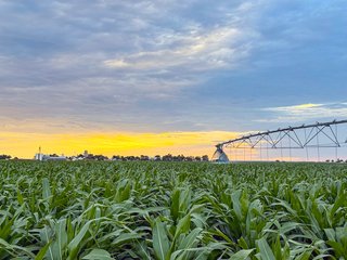 Property photo 69 - QUALITY IRRIGATED & ORGANIC COLORADO LAND AUCTION - 6,673+/- ACRES IN BENT & PROWERS COUNTIES, COLORADO. OWNERS WILL ENTERTAIN NON-CONTINGENT OFFERS ON THE PORTFOLIO UNTIL SEPTEMBER 6th. AUCTION SCHEDULED FOR OCT 24th.