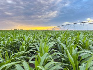 Property photo 70 - QUALITY IRRIGATED & ORGANIC COLORADO LAND AUCTION - 6,673+/- ACRES IN BENT & PROWERS COUNTIES, COLORADO. OWNERS WILL ENTERTAIN NON-CONTINGENT OFFERS ON THE PORTFOLIO UNTIL SEPTEMBER 6th. AUCTION SCHEDULED FOR OCT 24th.