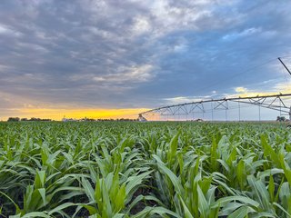 Property photo 71 - QUALITY IRRIGATED & ORGANIC COLORADO LAND AUCTION - 6,673+/- ACRES IN BENT & PROWERS COUNTIES, COLORADO. OWNERS WILL ENTERTAIN NON-CONTINGENT OFFERS ON THE PORTFOLIO UNTIL SEPTEMBER 6th. AUCTION SCHEDULED FOR OCT 24th.