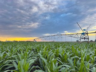 Property photo 72 - QUALITY IRRIGATED & ORGANIC COLORADO LAND AUCTION - 6,673+/- ACRES IN BENT & PROWERS COUNTIES, COLORADO. OWNERS WILL ENTERTAIN NON-CONTINGENT OFFERS ON THE PORTFOLIO UNTIL SEPTEMBER 6th. AUCTION SCHEDULED FOR OCT 24th.