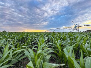 Property photo 73 - QUALITY IRRIGATED & ORGANIC COLORADO LAND AUCTION - 6,673+/- ACRES IN BENT & PROWERS COUNTIES, COLORADO. OWNERS WILL ENTERTAIN NON-CONTINGENT OFFERS ON THE PORTFOLIO UNTIL SEPTEMBER 6th. AUCTION SCHEDULED FOR OCT 24th.