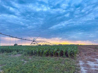 Property photo 74 - QUALITY IRRIGATED & ORGANIC COLORADO LAND AUCTION - 6,673+/- ACRES IN BENT & PROWERS COUNTIES, COLORADO. OWNERS WILL ENTERTAIN NON-CONTINGENT OFFERS ON THE PORTFOLIO UNTIL SEPTEMBER 6th. AUCTION SCHEDULED FOR OCT 24th.