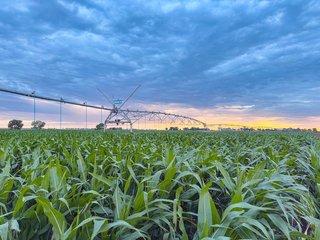 Property photo 75 - QUALITY IRRIGATED & ORGANIC COLORADO LAND AUCTION - 6,673+/- ACRES IN BENT & PROWERS COUNTIES, COLORADO. OWNERS WILL ENTERTAIN NON-CONTINGENT OFFERS ON THE PORTFOLIO UNTIL SEPTEMBER 6th. AUCTION SCHEDULED FOR OCT 24th.