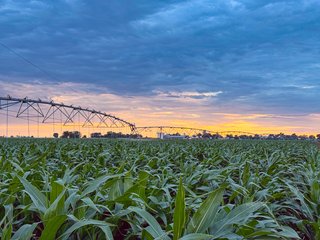 Property photo 76 - QUALITY IRRIGATED & ORGANIC COLORADO LAND AUCTION - 6,673+/- ACRES IN BENT & PROWERS COUNTIES, COLORADO. OWNERS WILL ENTERTAIN NON-CONTINGENT OFFERS ON THE PORTFOLIO UNTIL SEPTEMBER 6th. AUCTION SCHEDULED FOR OCT 24th.
