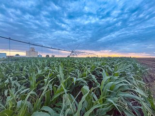 Property photo 77 - QUALITY IRRIGATED & ORGANIC COLORADO LAND AUCTION - 6,673+/- ACRES IN BENT & PROWERS COUNTIES, COLORADO. OWNERS WILL ENTERTAIN NON-CONTINGENT OFFERS ON THE PORTFOLIO UNTIL SEPTEMBER 6th. AUCTION SCHEDULED FOR OCT 24th.