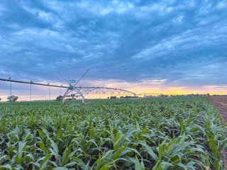 Property photo 78 - QUALITY IRRIGATED & ORGANIC COLORADO LAND AUCTION - 6,673+/- ACRES IN BENT & PROWERS COUNTIES, COLORADO. OWNERS WILL ENTERTAIN NON-CONTINGENT OFFERS ON THE PORTFOLIO UNTIL SEPTEMBER 6th. AUCTION SCHEDULED FOR OCT 24th.