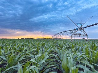 Property photo 79 - QUALITY IRRIGATED & ORGANIC COLORADO LAND AUCTION - 6,673+/- ACRES IN BENT & PROWERS COUNTIES, COLORADO. OWNERS WILL ENTERTAIN NON-CONTINGENT OFFERS ON THE PORTFOLIO UNTIL SEPTEMBER 6th. AUCTION SCHEDULED FOR OCT 24th.