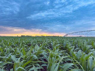 Property photo 80 - QUALITY IRRIGATED & ORGANIC COLORADO LAND AUCTION - 6,673+/- ACRES IN BENT & PROWERS COUNTIES, COLORADO. OWNERS WILL ENTERTAIN NON-CONTINGENT OFFERS ON THE PORTFOLIO UNTIL SEPTEMBER 6th. AUCTION SCHEDULED FOR OCT 24th.