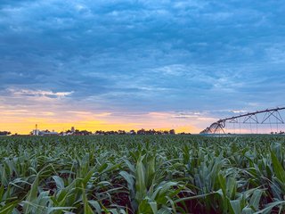 Property photo 81 - QUALITY IRRIGATED & ORGANIC COLORADO LAND AUCTION - 6,673+/- ACRES IN BENT & PROWERS COUNTIES, COLORADO. OWNERS WILL ENTERTAIN NON-CONTINGENT OFFERS ON THE PORTFOLIO UNTIL SEPTEMBER 6th. AUCTION SCHEDULED FOR OCT 24th.