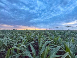 Property photo 82 - QUALITY IRRIGATED & ORGANIC COLORADO LAND AUCTION - 6,673+/- ACRES IN BENT & PROWERS COUNTIES, COLORADO. OWNERS WILL ENTERTAIN NON-CONTINGENT OFFERS ON THE PORTFOLIO UNTIL SEPTEMBER 6th. AUCTION SCHEDULED FOR OCT 24th.