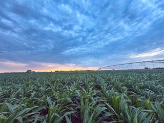 Property photo 83 - QUALITY IRRIGATED & ORGANIC COLORADO LAND AUCTION - 6,673+/- ACRES IN BENT & PROWERS COUNTIES, COLORADO. OWNERS WILL ENTERTAIN NON-CONTINGENT OFFERS ON THE PORTFOLIO UNTIL SEPTEMBER 6th. AUCTION SCHEDULED FOR OCT 24th.