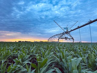 Property photo 84 - QUALITY IRRIGATED & ORGANIC COLORADO LAND AUCTION - 6,673+/- ACRES IN BENT & PROWERS COUNTIES, COLORADO. OWNERS WILL ENTERTAIN NON-CONTINGENT OFFERS ON THE PORTFOLIO UNTIL SEPTEMBER 6th. AUCTION SCHEDULED FOR OCT 24th.