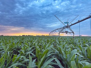 Property photo 85 - QUALITY IRRIGATED & ORGANIC COLORADO LAND AUCTION - 6,673+/- ACRES IN BENT & PROWERS COUNTIES, COLORADO. OWNERS WILL ENTERTAIN NON-CONTINGENT OFFERS ON THE PORTFOLIO UNTIL SEPTEMBER 6th. AUCTION SCHEDULED FOR OCT 24th.