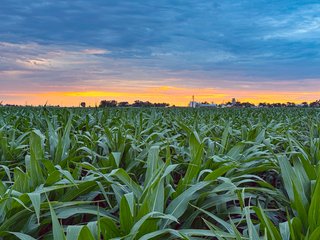 Property photo 87 - QUALITY IRRIGATED & ORGANIC COLORADO LAND AUCTION - 6,673+/- ACRES IN BENT & PROWERS COUNTIES, COLORADO. OWNERS WILL ENTERTAIN NON-CONTINGENT OFFERS ON THE PORTFOLIO UNTIL SEPTEMBER 6th. AUCTION SCHEDULED FOR OCT 24th.