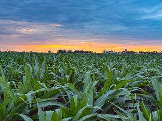 Property photo 88 - QUALITY IRRIGATED & ORGANIC COLORADO LAND AUCTION - 6,673+/- ACRES IN BENT & PROWERS COUNTIES, COLORADO. OWNERS WILL ENTERTAIN NON-CONTINGENT OFFERS ON THE PORTFOLIO UNTIL SEPTEMBER 6th. AUCTION SCHEDULED FOR OCT 24th.