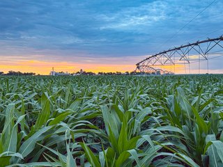 Property photo 89 - QUALITY IRRIGATED & ORGANIC COLORADO LAND AUCTION - 6,673+/- ACRES IN BENT & PROWERS COUNTIES, COLORADO. OWNERS WILL ENTERTAIN NON-CONTINGENT OFFERS ON THE PORTFOLIO UNTIL SEPTEMBER 6th. AUCTION SCHEDULED FOR OCT 24th.