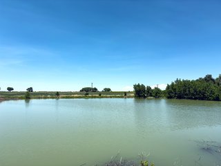 Property photo 91 - QUALITY IRRIGATED & ORGANIC COLORADO LAND AUCTION - 6,673+/- ACRES IN BENT & PROWERS COUNTIES, COLORADO. OWNERS WILL ENTERTAIN NON-CONTINGENT OFFERS ON THE PORTFOLIO UNTIL SEPTEMBER 6th. AUCTION SCHEDULED FOR OCT 24th.