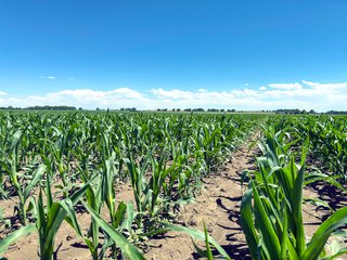 Property photo 92 - QUALITY IRRIGATED & ORGANIC COLORADO LAND AUCTION - 6,673+/- ACRES IN BENT & PROWERS COUNTIES, COLORADO. OWNERS WILL ENTERTAIN NON-CONTINGENT OFFERS ON THE PORTFOLIO UNTIL SEPTEMBER 6th. AUCTION SCHEDULED FOR OCT 24th.