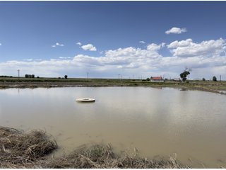 Property photo 98 - QUALITY IRRIGATED & ORGANIC COLORADO LAND AUCTION - 6,673+/- ACRES OFFERED IN 26 TRACTS OR COMBINATIONS IN BENT & PROWERS COUNTIES, COLORADO