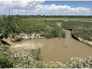 Property photo 136 - QUALITY IRRIGATED & ORGANIC COLORADO LAND AUCTION - 6,673+/- ACRES OFFERED IN 26 TRACTS OR COMBINATIONS IN BENT & PROWERS COUNTIES, COLORADO