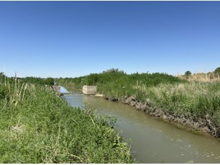 Property photo 167 - QUALITY IRRIGATED & ORGANIC COLORADO LAND AUCTION - 6,673+/- ACRES OFFERED IN 26 TRACTS OR COMBINATIONS IN BENT & PROWERS COUNTIES, COLORADO