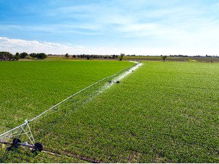 Property photo 9 - QUALITY IRRIGATED & ORGANIC COLORADO LAND AUCTION - 6,673+/- ACRES OFFERED IN 26 TRACTS OR COMBINATIONS IN BENT & PROWERS COUNTIES, COLORADO