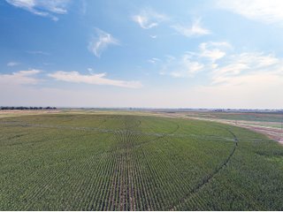 Property photo 48 - QUALITY IRRIGATED & ORGANIC COLORADO LAND AUCTION - 6,673+/- ACRES OFFERED IN 26 TRACTS OR COMBINATIONS IN BENT & PROWERS COUNTIES, COLORADO