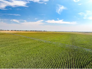 Property photo 49 - QUALITY IRRIGATED & ORGANIC COLORADO LAND AUCTION - 6,673+/- ACRES OFFERED IN 26 TRACTS OR COMBINATIONS IN BENT & PROWERS COUNTIES, COLORADO