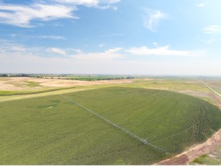 Property photo 50 - QUALITY IRRIGATED & ORGANIC COLORADO LAND AUCTION - 6,673+/- ACRES OFFERED IN 26 TRACTS OR COMBINATIONS IN BENT & PROWERS COUNTIES, COLORADO