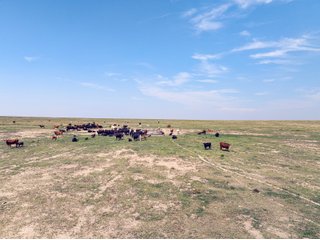 Property photo 44 - QUALITY IRRIGATED & ORGANIC COLORADO LAND AUCTION - 6,673+/- ACRES OFFERED IN 26 TRACTS OR COMBINATIONS IN BENT & PROWERS COUNTIES, COLORADO