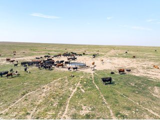 Property photo 45 - QUALITY IRRIGATED & ORGANIC COLORADO LAND AUCTION - 6,673+/- ACRES OFFERED IN 26 TRACTS OR COMBINATIONS IN BENT & PROWERS COUNTIES, COLORADO