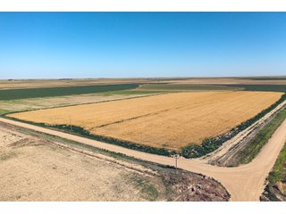Property photo 179 - QUALITY IRRIGATED & ORGANIC COLORADO LAND AUCTION - 6,673+/- ACRES OFFERED IN 26 TRACTS OR COMBINATIONS IN BENT & PROWERS COUNTIES, COLORADO