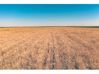 Property photo 180 - QUALITY IRRIGATED & ORGANIC COLORADO LAND AUCTION - 6,673+/- ACRES OFFERED IN 26 TRACTS OR COMBINATIONS IN BENT & PROWERS COUNTIES, COLORADO