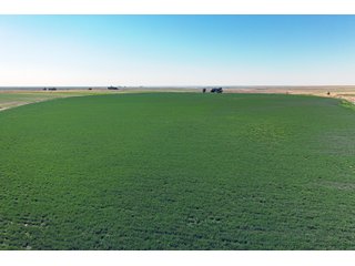Property photo 181 - QUALITY IRRIGATED & ORGANIC COLORADO LAND AUCTION - 6,673+/- ACRES OFFERED IN 26 TRACTS OR COMBINATIONS IN BENT & PROWERS COUNTIES, COLORADO