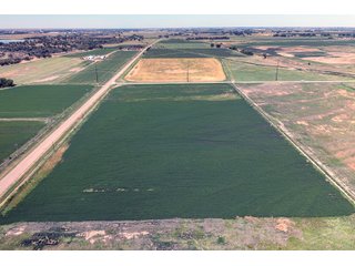 Property photo 164 - QUALITY IRRIGATED & ORGANIC COLORADO LAND AUCTION - 6,673+/- ACRES OFFERED IN 26 TRACTS OR COMBINATIONS IN BENT & PROWERS COUNTIES, COLORADO
