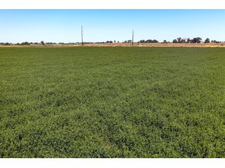 Property photo 165 - QUALITY IRRIGATED & ORGANIC COLORADO LAND AUCTION - 6,673+/- ACRES OFFERED IN 26 TRACTS OR COMBINATIONS IN BENT & PROWERS COUNTIES, COLORADO