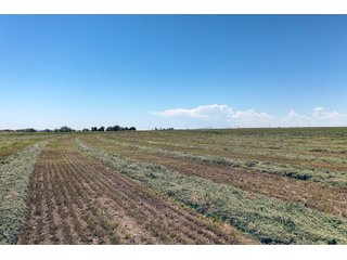 Property photo 139 - QUALITY IRRIGATED & ORGANIC COLORADO LAND AUCTION - 6,673+/- ACRES OFFERED IN 26 TRACTS OR COMBINATIONS IN BENT & PROWERS COUNTIES, COLORADO