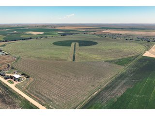 Property photo 140 - QUALITY IRRIGATED & ORGANIC COLORADO LAND AUCTION - 6,673+/- ACRES OFFERED IN 26 TRACTS OR COMBINATIONS IN BENT & PROWERS COUNTIES, COLORADO