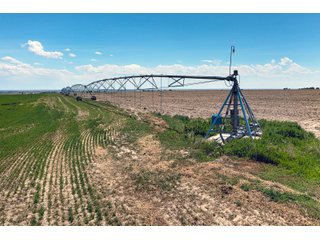 Property photo 124 - QUALITY IRRIGATED & ORGANIC COLORADO LAND AUCTION - 6,673+/- ACRES OFFERED IN 26 TRACTS OR COMBINATIONS IN BENT & PROWERS COUNTIES, COLORADO