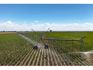 Property photo 108 - QUALITY IRRIGATED & ORGANIC COLORADO LAND AUCTION - 6,673+/- ACRES OFFERED IN 26 TRACTS OR COMBINATIONS IN BENT & PROWERS COUNTIES, COLORADO