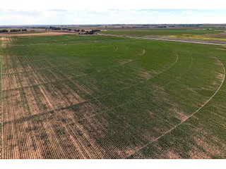 Property photo 95 - QUALITY IRRIGATED & ORGANIC COLORADO LAND AUCTION - 6,673+/- ACRES OFFERED IN 26 TRACTS OR COMBINATIONS IN BENT & PROWERS COUNTIES, COLORADO