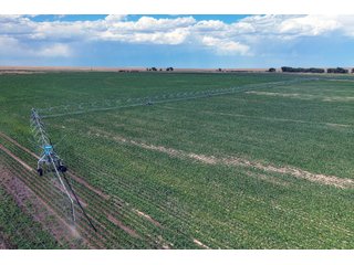 Property photo 96 - QUALITY IRRIGATED & ORGANIC COLORADO LAND AUCTION - 6,673+/- ACRES OFFERED IN 26 TRACTS OR COMBINATIONS IN BENT & PROWERS COUNTIES, COLORADO
