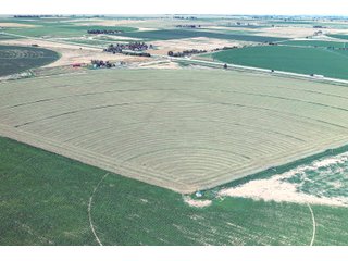 Property photo 77 - QUALITY IRRIGATED & ORGANIC COLORADO LAND AUCTION - 6,673+/- ACRES OFFERED IN 26 TRACTS OR COMBINATIONS IN BENT & PROWERS COUNTIES, COLORADO