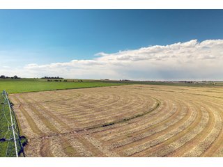 Property photo 78 - QUALITY IRRIGATED & ORGANIC COLORADO LAND AUCTION - 6,673+/- ACRES OFFERED IN 26 TRACTS OR COMBINATIONS IN BENT & PROWERS COUNTIES, COLORADO