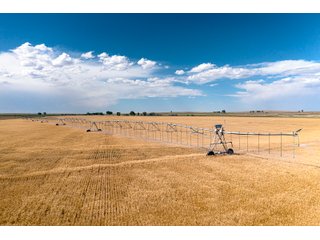 Property photo 52 - QUALITY IRRIGATED & ORGANIC COLORADO LAND AUCTION - 6,673+/- ACRES OFFERED IN 26 TRACTS OR COMBINATIONS IN BENT & PROWERS COUNTIES, COLORADO