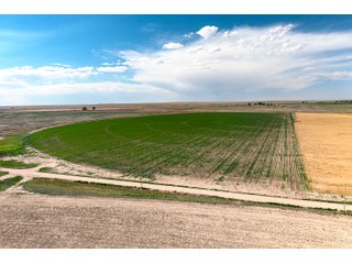 Property photo 54 - QUALITY IRRIGATED & ORGANIC COLORADO LAND AUCTION - 6,673+/- ACRES OFFERED IN 26 TRACTS OR COMBINATIONS IN BENT & PROWERS COUNTIES, COLORADO