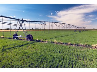 Property photo 38 - QUALITY IRRIGATED & ORGANIC COLORADO LAND AUCTION - 6,673+/- ACRES OFFERED IN 26 TRACTS OR COMBINATIONS IN BENT & PROWERS COUNTIES, COLORADO