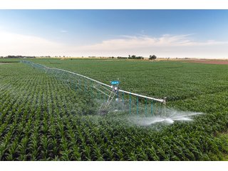 Property photo 12 - QUALITY IRRIGATED & ORGANIC COLORADO LAND AUCTION - 6,673+/- ACRES OFFERED IN 26 TRACTS OR COMBINATIONS IN BENT & PROWERS COUNTIES, COLORADO