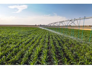 Property photo 55 - QUALITY IRRIGATED & ORGANIC COLORADO LAND AUCTION - 6,673+/- ACRES OFFERED IN 26 TRACTS OR COMBINATIONS IN BENT & PROWERS COUNTIES, COLORADO